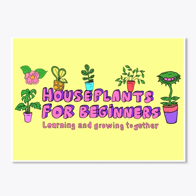 Houseplants for Beginners